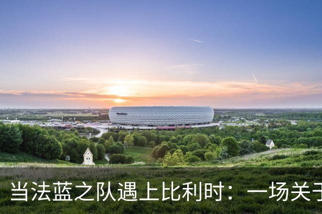 当法蓝之队遇上比利时：一场关于足球的幽默之旅